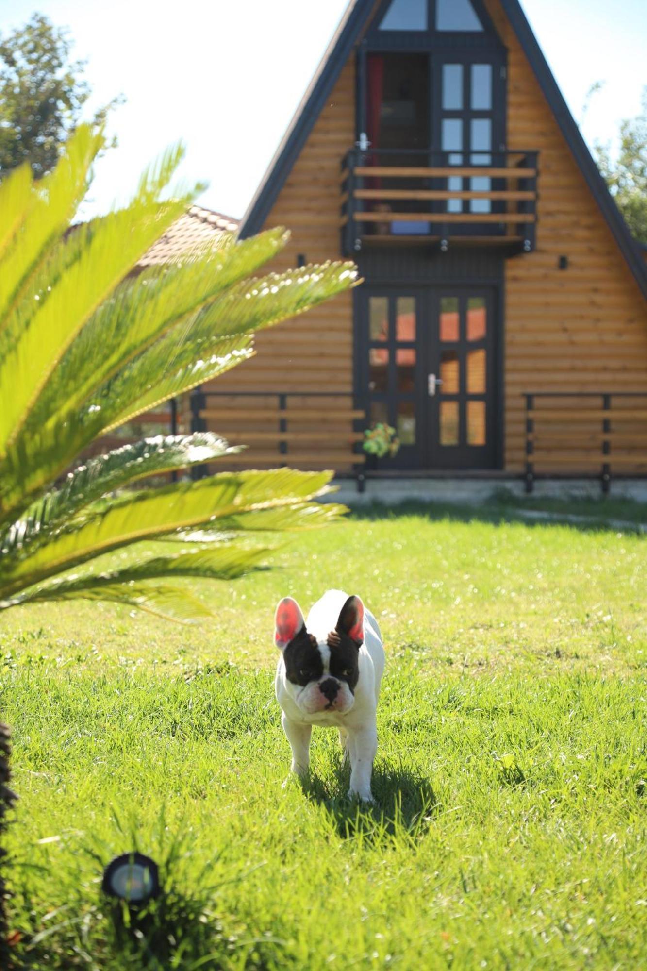 Sancho Farm Albania Villa Memaliaj Екстериор снимка