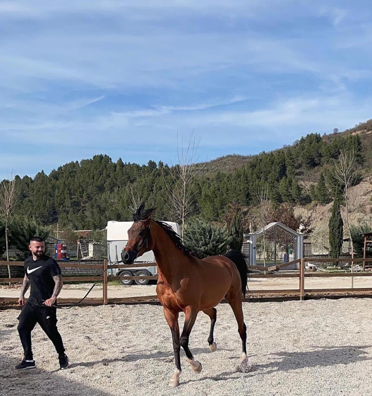 Sancho Farm Albania Villa Memaliaj Екстериор снимка