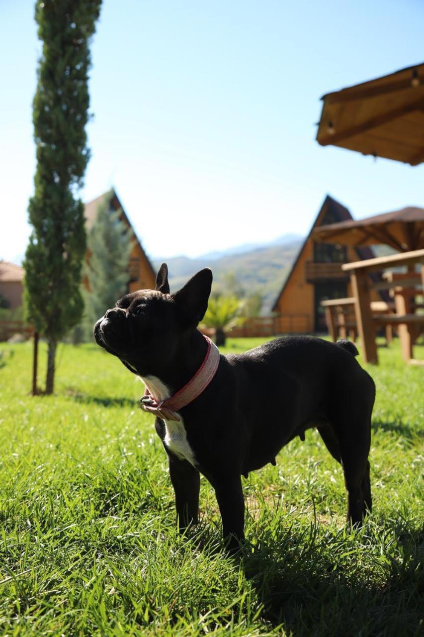 Sancho Farm Albania Villa Memaliaj Екстериор снимка